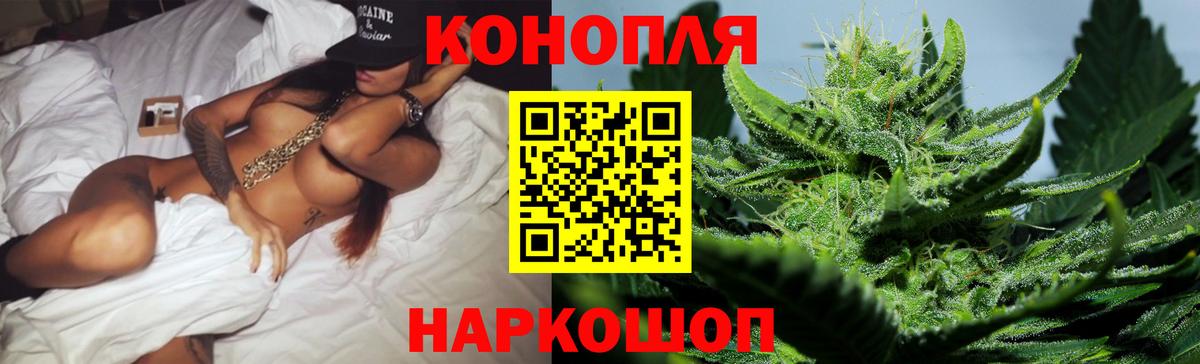 Каннабис планчик Благодарный